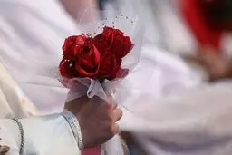 رئیس گروه تحلیل آمارهای حیاتی ثبت احوال: آمار ازدواج رو به کاهش است/ بیشترین ترکیب سنی ازدواج‌ها