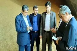 خجسته خبر داد دپو ذرت های آلوده وارداتی در انبار گمرگ بندر امام خمینی(ره)
