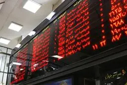 توهم بورس «همیشه سبز»