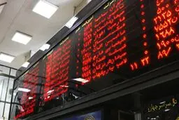 توهم بورس «همیشه سبز»