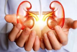 با این خوردنی‌ها کلیه هایتان را پاکسازی کنید