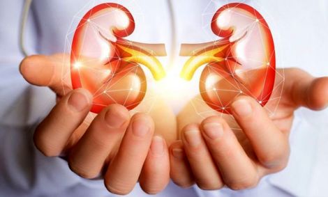 با این خوردنی‌ها کلیه هایتان را پاکسازی کنید