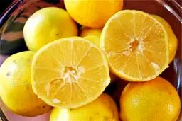 موادغذایی که بهتر از آنتی بیوتیک هستند