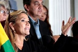 آمریکا «جنینه آنز» را به عنوان رئیس‌جمهور موقت بولیوی به رسمیت شناخت