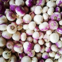 قند خونتان را با این اکسیر گیاهی کاهش دهید