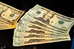 تکاپوی دلال‌ها در فضای مجازی برای افزایش کاذب قیمت دلار/ بازار ارز آخر هفته تعطیل است؛ تغییر قیمت دلار نداشتیم