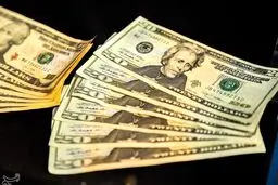 تکاپوی دلال‌ها در فضای مجازی برای افزایش کاذب قیمت دلار/ بازار ارز آخر هفته تعطیل است؛ تغییر قیمت دلار نداشتیم