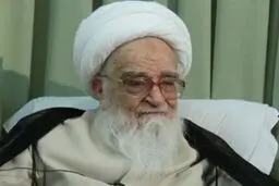 بیانیه آیت‌الله صافی گلپایگانی پیرامون سهمیه‌بندی و گران شدن بنزین