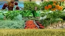اصلاح قیمت بنزین تاثیری بر بخش کشاورزی ندارد