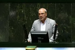 در صحن علنی مطرح شد؛ درخواست نماینده شاهین شهر برای برگزاری جلسه مشترک دولت و مجلس جهت بررسی مصوبه مدیریت مصرف سوخت