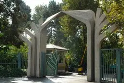 حراست دانشگاه تهران: هنوز آمار کاملی در مورد تعداد دانشجویان دستگیر شده وجود ندارد/ ۹ دانشجو آزاد شده‌اند