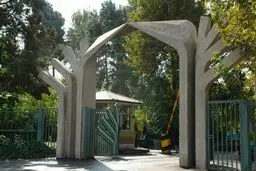 حراست دانشگاه تهران: هنوز آمار کاملی در مورد تعداد دانشجویان دستگیر شده وجود ندارد/ ۹ دانشجو آزاد شده‌اند