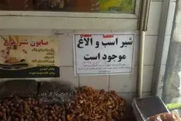 هشدار‌هایی که درباره مصرف شیر الاغ باید جدی بگیرید/ سلامت شیر‌های الاغ موجود در بازار مورد تایید است؟