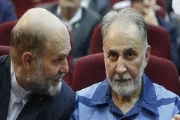 علیزاده طباطبایی: یقین دارم «نجفی» قاتل نیست!