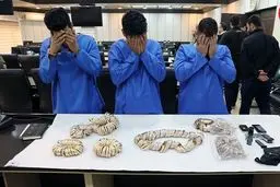 واقعیت فیلم جنجالی پشت صحنه مصاحبه با دزدان چیست؟