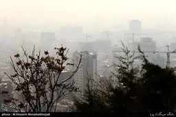 پیامدهای عجیب آلودگی‌هوا؛ از خودکشی تا چاقی