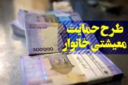 سخنگوی ستاد شناسایی مشمولان طرح حمایت معیشتی وزارت رفاه مطرح کرد؛ جزئیات بررسی اطلاعات بانکی خانوارها برای دریافت کمک معیشتی دولت