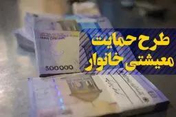 سخنگوی ستاد شناسایی مشمولان طرح حمایت معیشتی وزارت رفاه مطرح کرد؛ جزئیات بررسی اطلاعات بانکی خانوارها برای دریافت کمک معیشتی دولت