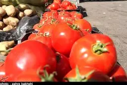 قیمت عمده فروشی انواع میوه اعلام شد/ گوجه ۹ هزار تومان+ جدول