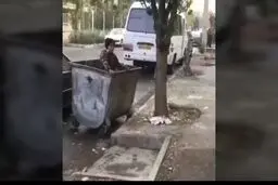 جریحه دار شدن احساسات عمومی در پی انتشار ویدئویی از اقدام بی شرمانه دو جوان+فیلم