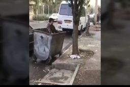 جریحه دار شدن احساسات عمومی در پی انتشار ویدئویی از اقدام بی شرمانه دو جوان+فیلم