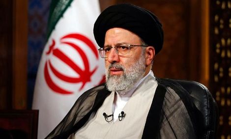 کدام شاخه را می‌برد؟