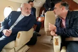 ظریف از آزادی مسعود سلیمانی خبر داد/پژوهشگر ایرانی به مقامات کشورمان تحویل داده شد