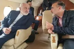 ظریف از آزادی مسعود سلیمانی خبر داد/پژوهشگر ایرانی به مقامات کشورمان تحویل داده شد