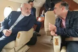 ظریف از آزادی مسعود سلیمانی خبر داد/پژوهشگر ایرانی به مقامات کشورمان تحویل داده شد
