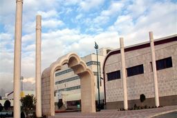 ناگهان کتابخانه آکادمی به زیر زمین رفت!/ تبدیل محل پژوهش به مکانی برای دورهمی