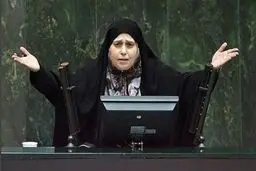 درگیری در مجلس بر سر آخرین نطق پروانه سلحشوری/نمی شود هرکسی هر غلطی بکند/به جهنم که کاندیدا نشده است