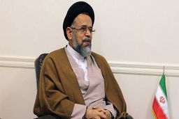 روایت وزیر اطلاعات از تلاش برای آزادی دانشمند ایرانی زندانی در آمریکا