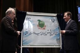 بعد از گذشت ۴ ماه؛ بیمه اجباری ۹ میلیون ایرانی روی کاغذ ماند/ چرا وزارت رفاه آزمون وسع را انجام نمی‌دهد؟