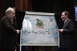 بعد از گذشت ۴ ماه؛ بیمه اجباری ۹ میلیون ایرانی روی کاغذ ماند/ چرا وزارت رفاه آزمون وسع را انجام نمی‌دهد؟