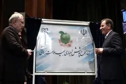 بعد از گذشت ۴ ماه؛ بیمه اجباری ۹ میلیون ایرانی روی کاغذ ماند/ چرا وزارت رفاه آزمون وسع را انجام نمی‌دهد؟
