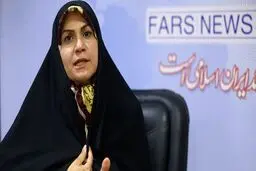 ذوالقدر: جرئیات کامل فعالیت‌های متعدد ارتش منتشر نشد/مطالب نقل شده در رسانه‌های بیگانه تحریف شد