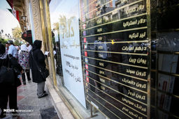شدیدترین سقوط ارزی امسال ثبت شد/ دلار تا مرز حمایتی عقب نشست