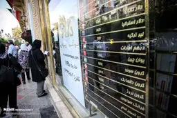 شدیدترین سقوط ارزی امسال ثبت شد/ دلار تا مرز حمایتی عقب نشست