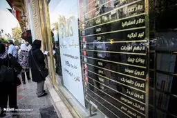 شدیدترین سقوط ارزی امسال ثبت شد/ دلار تا مرز حمایتی عقب نشست