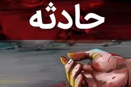 ماجرای تلخ برادر کشی به خاطر ارث پدری!