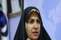 ذوالقدر: مصوبه مجلس ضامن حقوق کودکان کار و بدسرپرست است