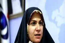 ذوالقدر: مصوبه مجلس ضامن حقوق کودکان کار و بدسرپرست است
