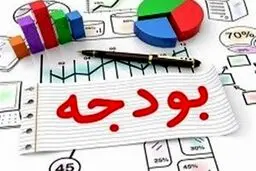 قوامی: کلیات بودجه ۹۹ در حال بررسی است