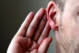 چند می‌گیری گوش بشکونی؟