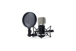 خواننده‌ای که بی حاشیه نمی‌تواند کار کند