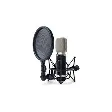 خواننده‌ای که بی حاشیه نمی‌تواند کار کند