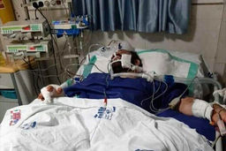 هرآنچه بر سر «هانی کرده» آمد/ چرا به اخبار اراذل و اوباش علاقه‌مندیم؟