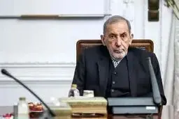 هشدار ولایتی به ترامپ: فرو افتادن در چاه با طناب اسرائیل، تاوانی سنگین دارد