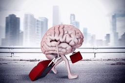 بررسی مهاجرت نخبگان با استناد به قربانیان سقوط هواپیمای اوکراینی در ایران