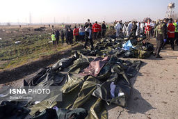 مقصران سقوط هواپیمای اوکراینی استعفا دهند و مجازات شوند